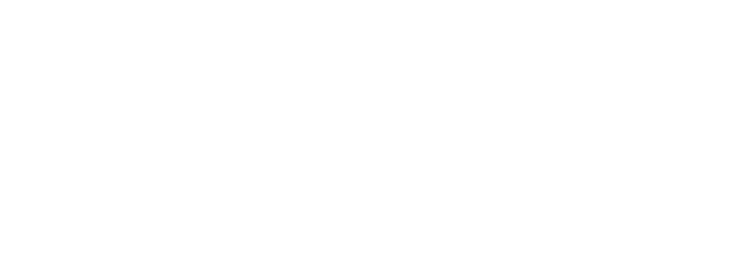 pblink-logo-white